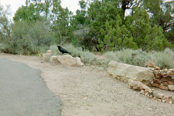 IMG20