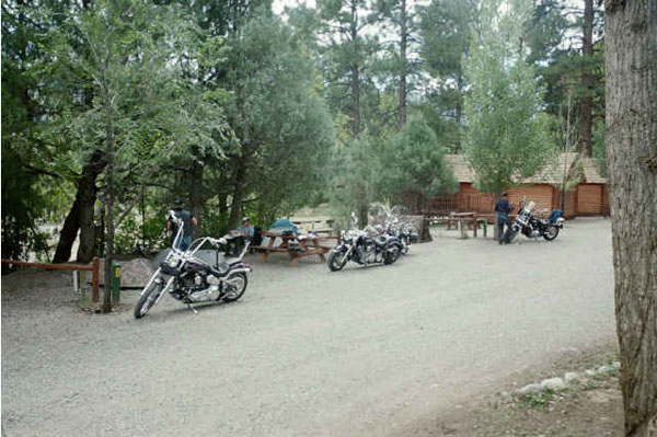 cMG13