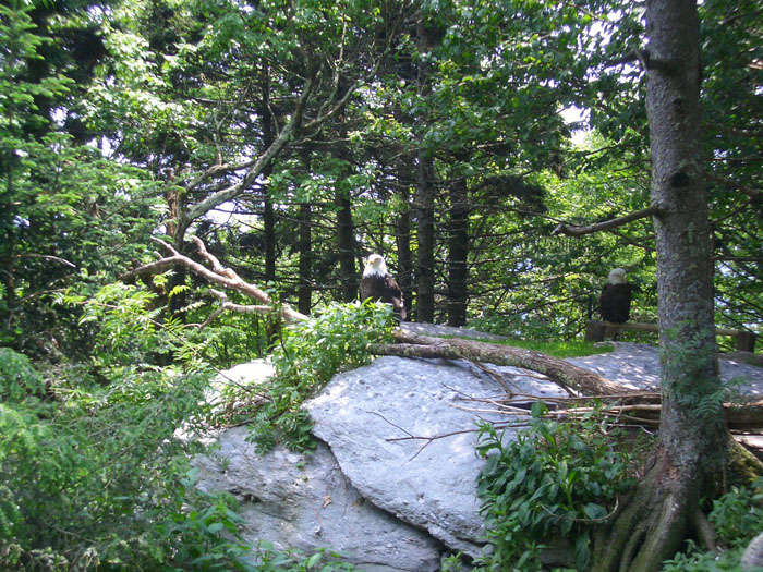 bike trip '05 105