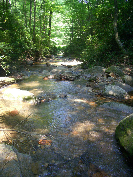 bike trip '05 143