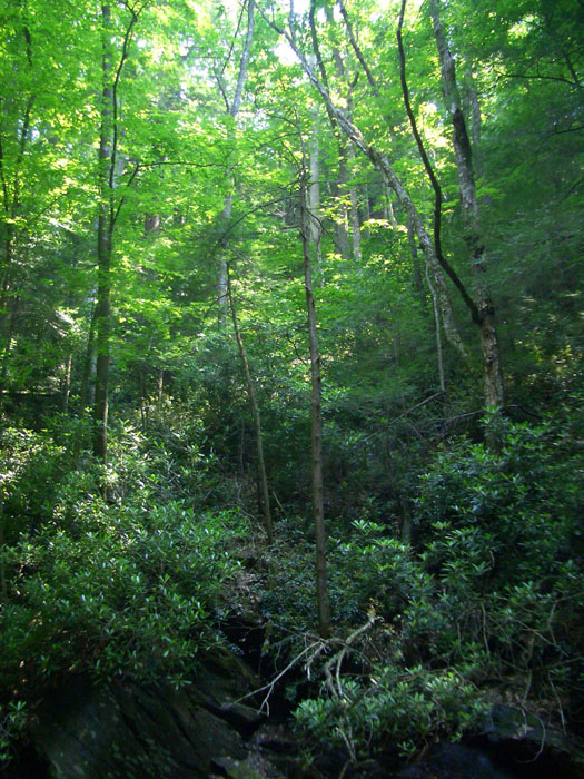 bike trip '05 144