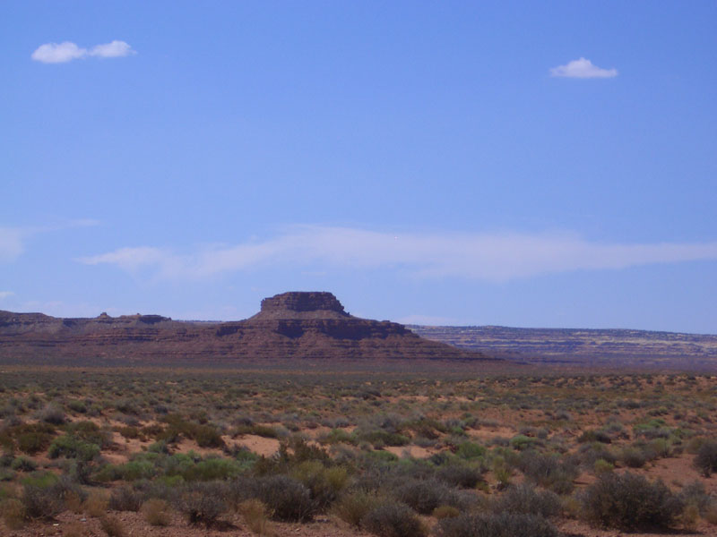 CIMG1246