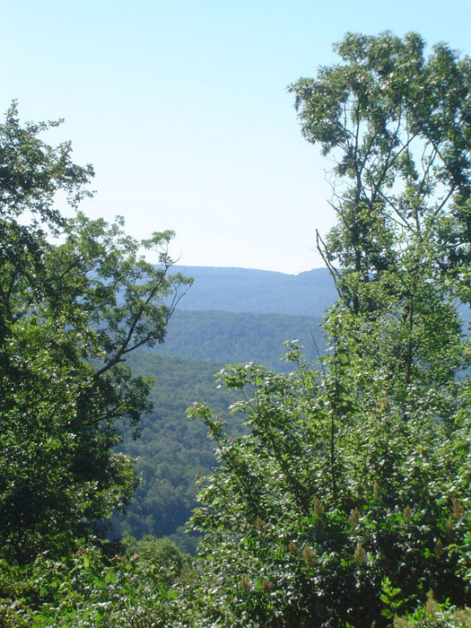 Mountain 9